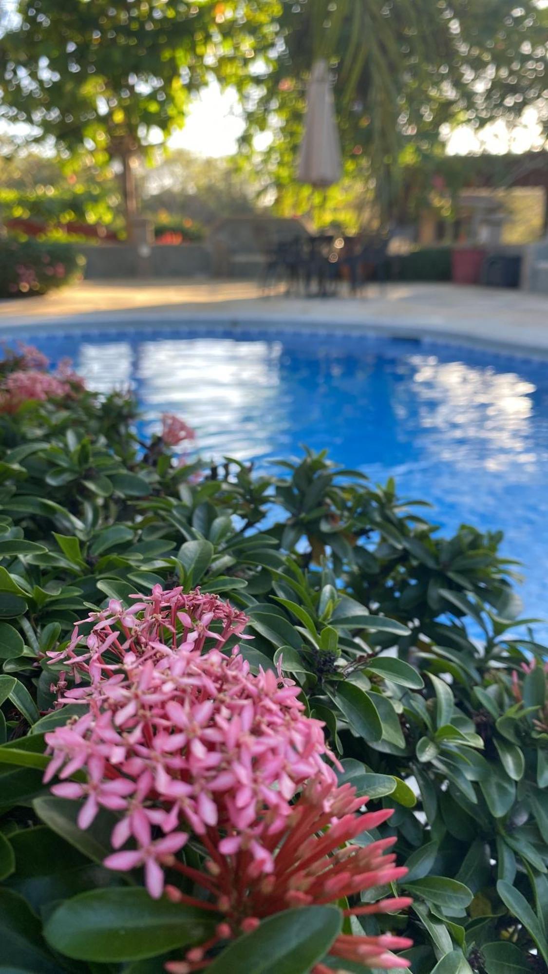 Casas Del Toro Playa Flamingo Aparthotel Eksteriør bilde